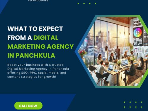 What to Expect from a Digital Marketing Agency in Panchkula