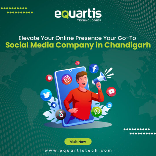 Social Media Company in Chandigarh