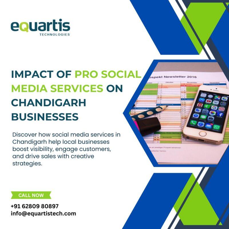 Impact of Pro Social Media Services on Chandigarh Businesses