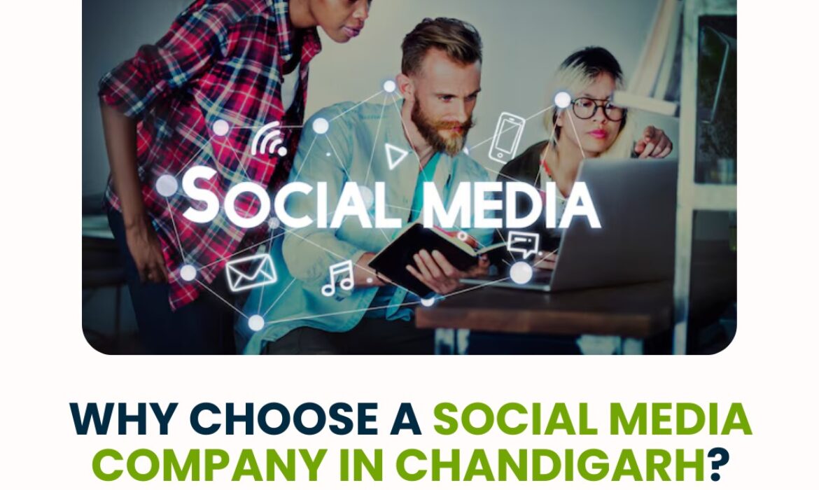 social media company in Chandigarh